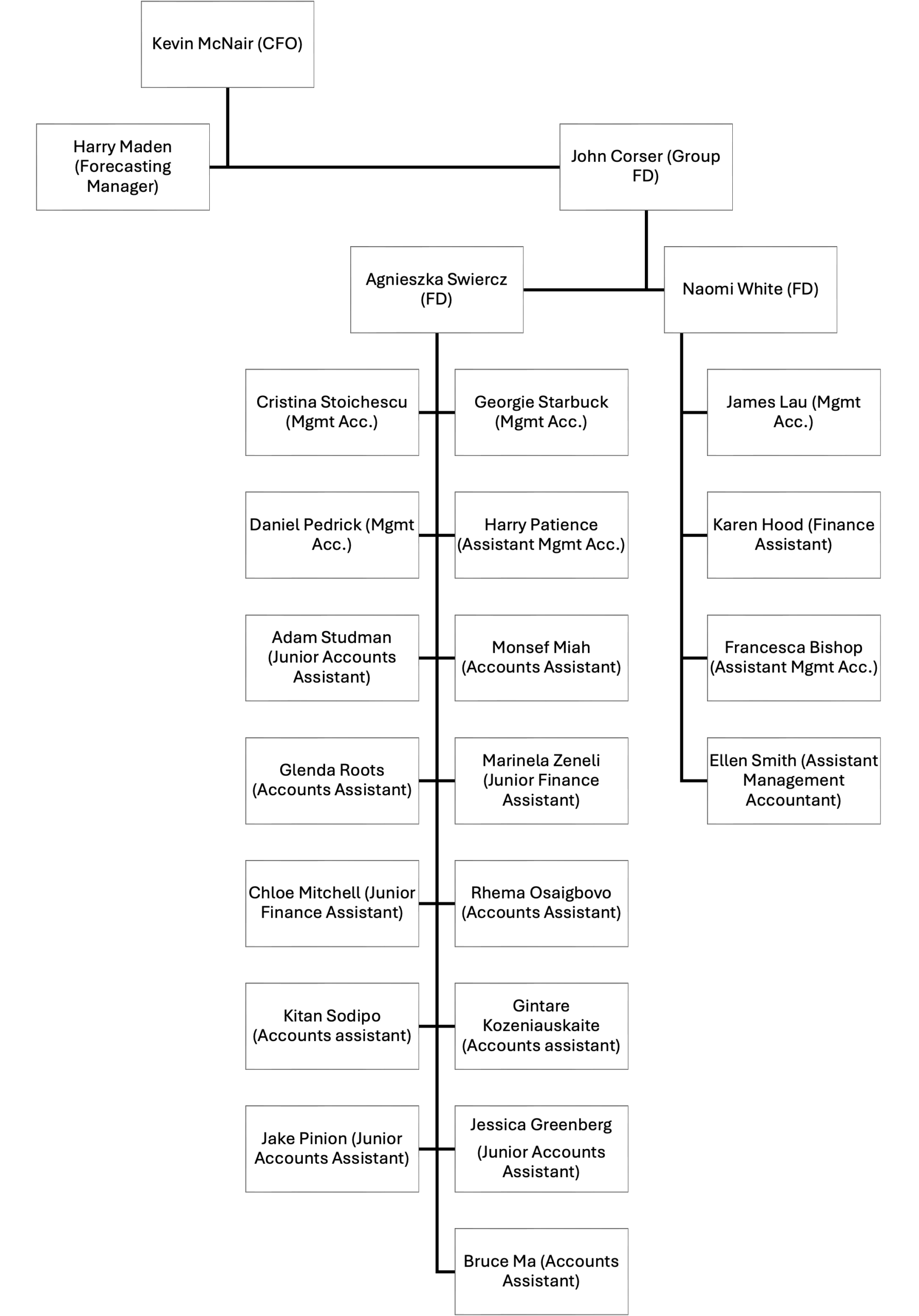 Organogram of finance team